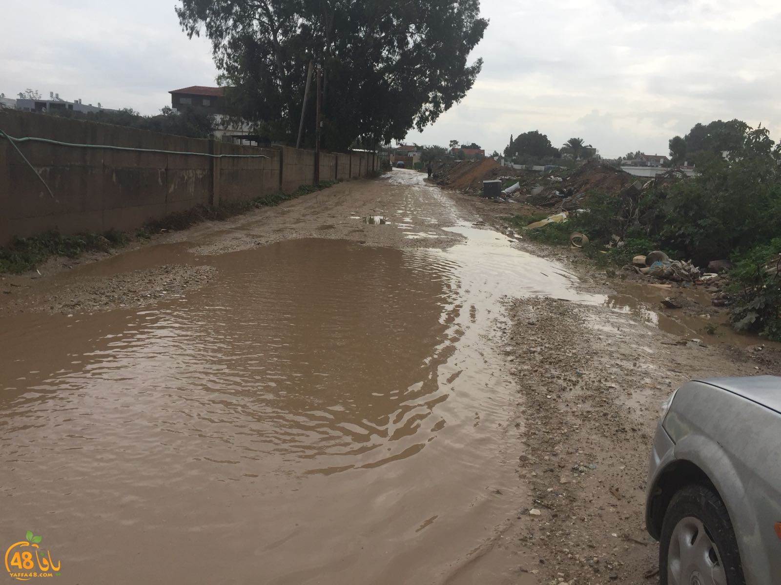 mo3anahr3h3u (3).jpg